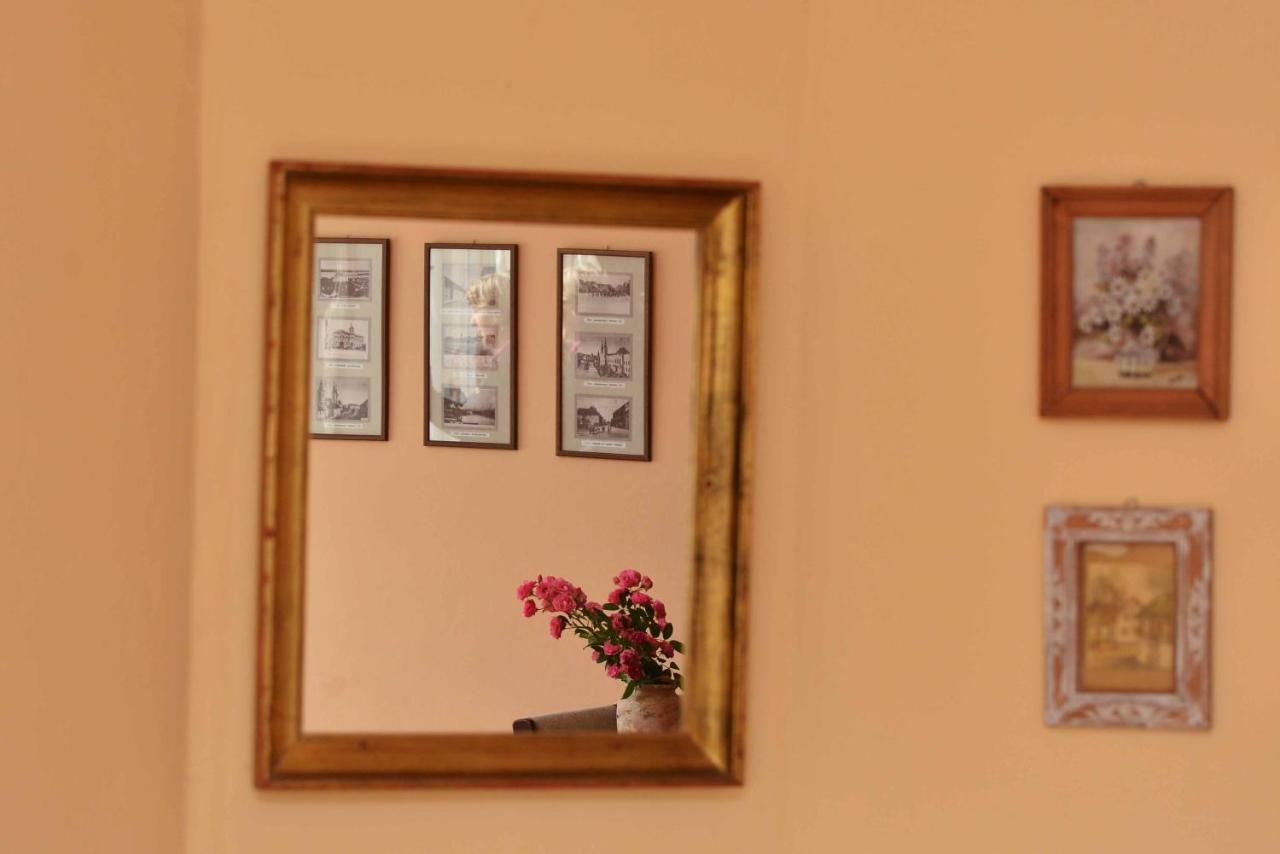 Sobe Gajic Sremski Karlovci Extérieur photo