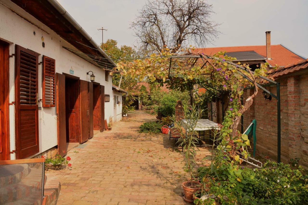 Sobe Gajic Sremski Karlovci Extérieur photo