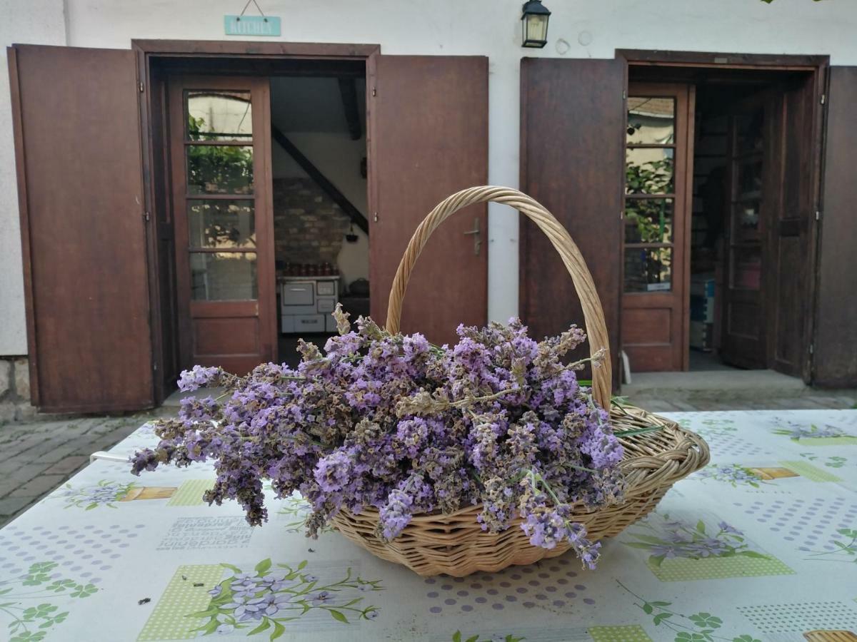 Sobe Gajic Sremski Karlovci Extérieur photo